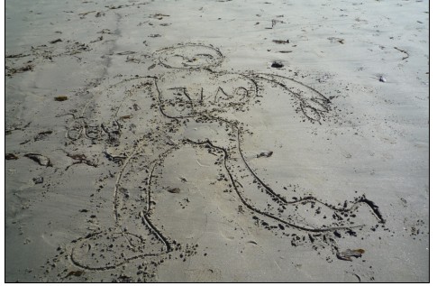 我们在沙滩上画的画.jpg