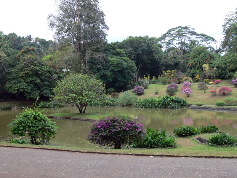 Kandy--Royal Botanical Garden-Mahaweli Ganga5.jpg
