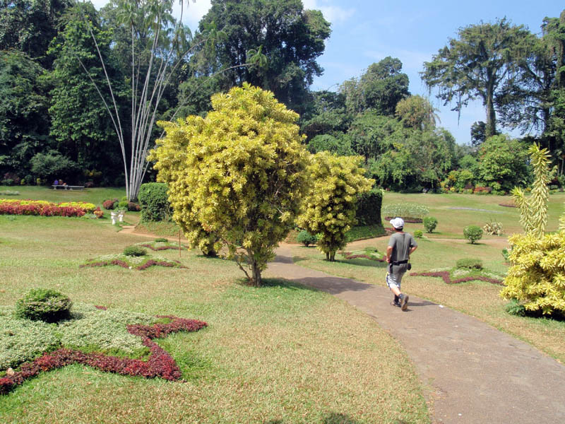 Kandy--Royal Botanical Garden-Mahaweli Ganga3.jpg